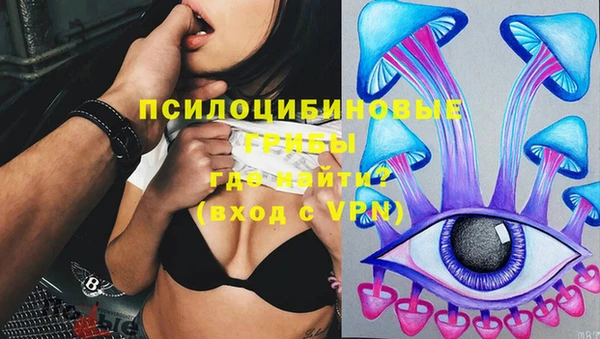 мяу мяу мука Балабаново