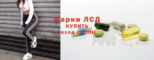 индика Баксан
