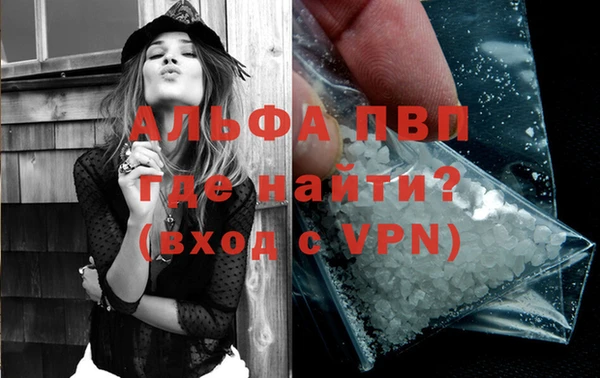 индика Баксан
