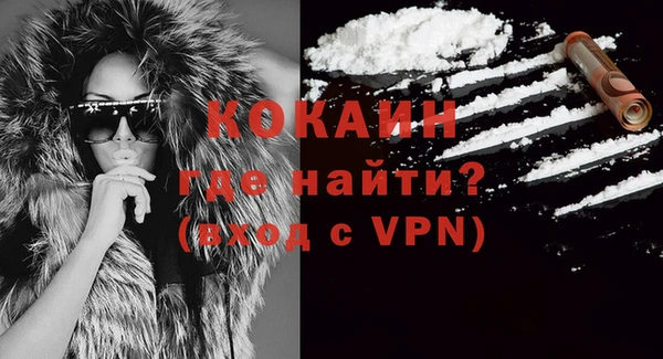 индика Баксан