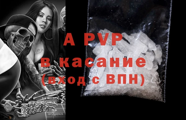 индика Баксан