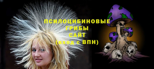 apvp Балахна
