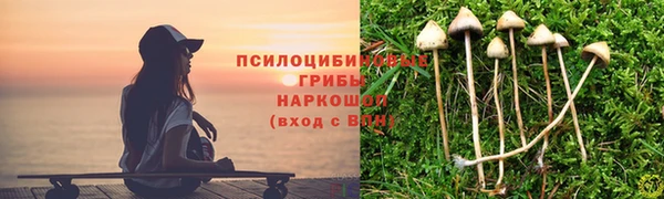 индика Баксан