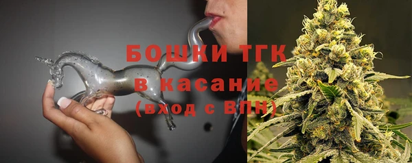 индика Баксан