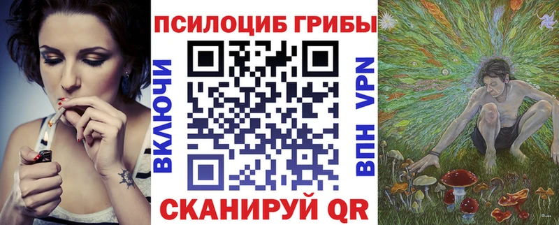 купить наркотики цена  Гороховец  Псилоцибиновые грибы Psilocybine cubensis 